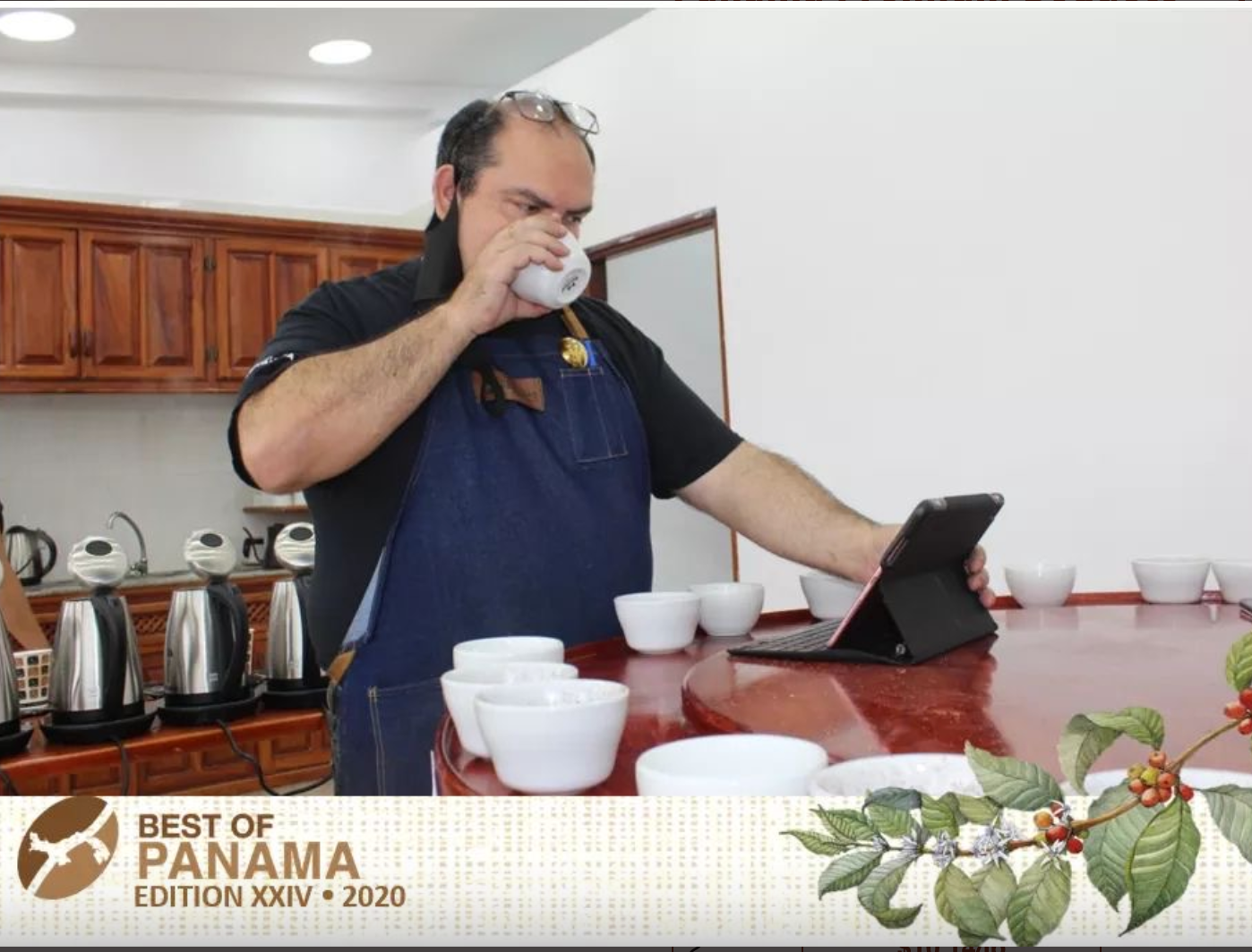 PANAMA MAMA CATA - CATURRA