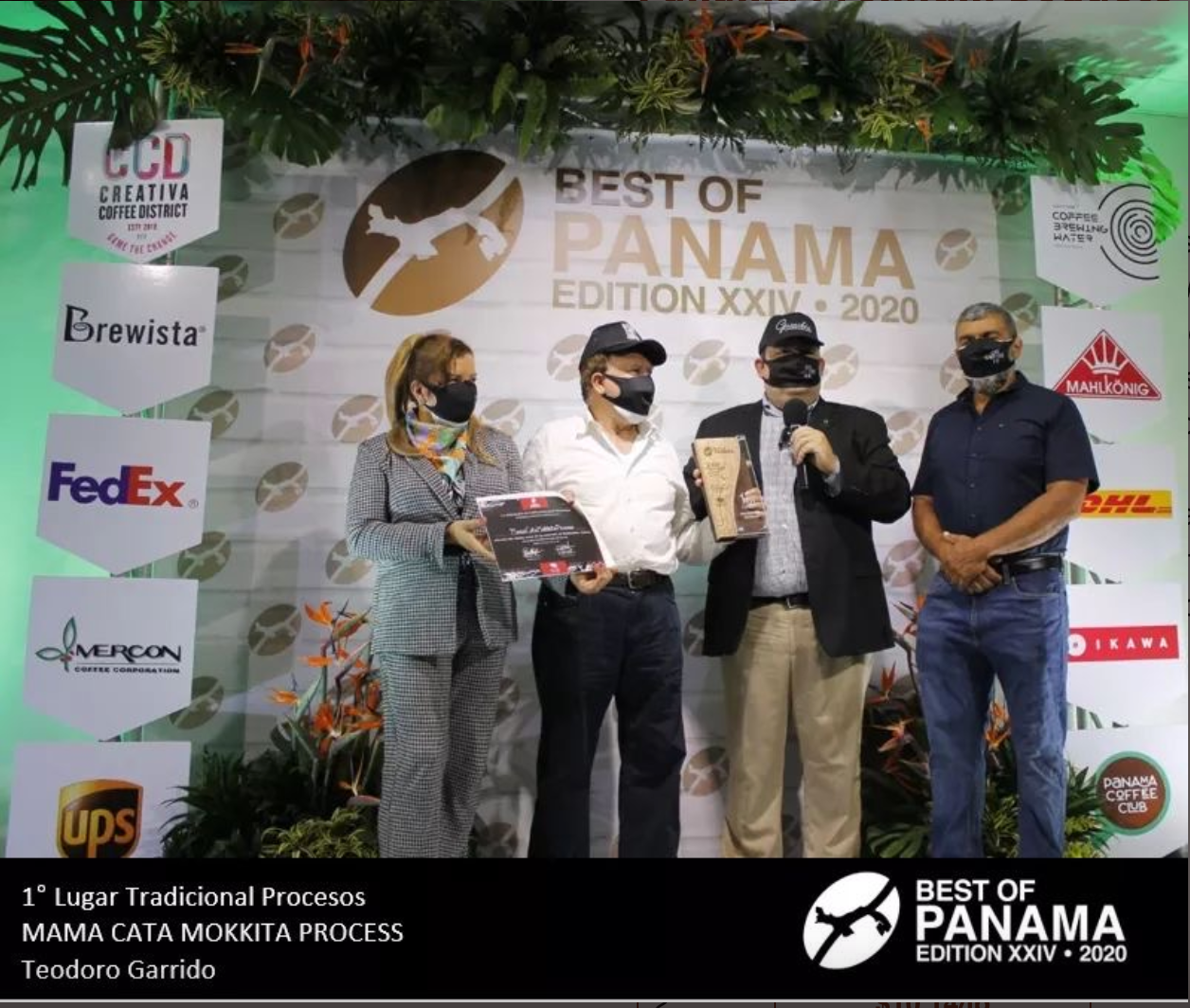 PANAMA MAMA CATA - CATURRA