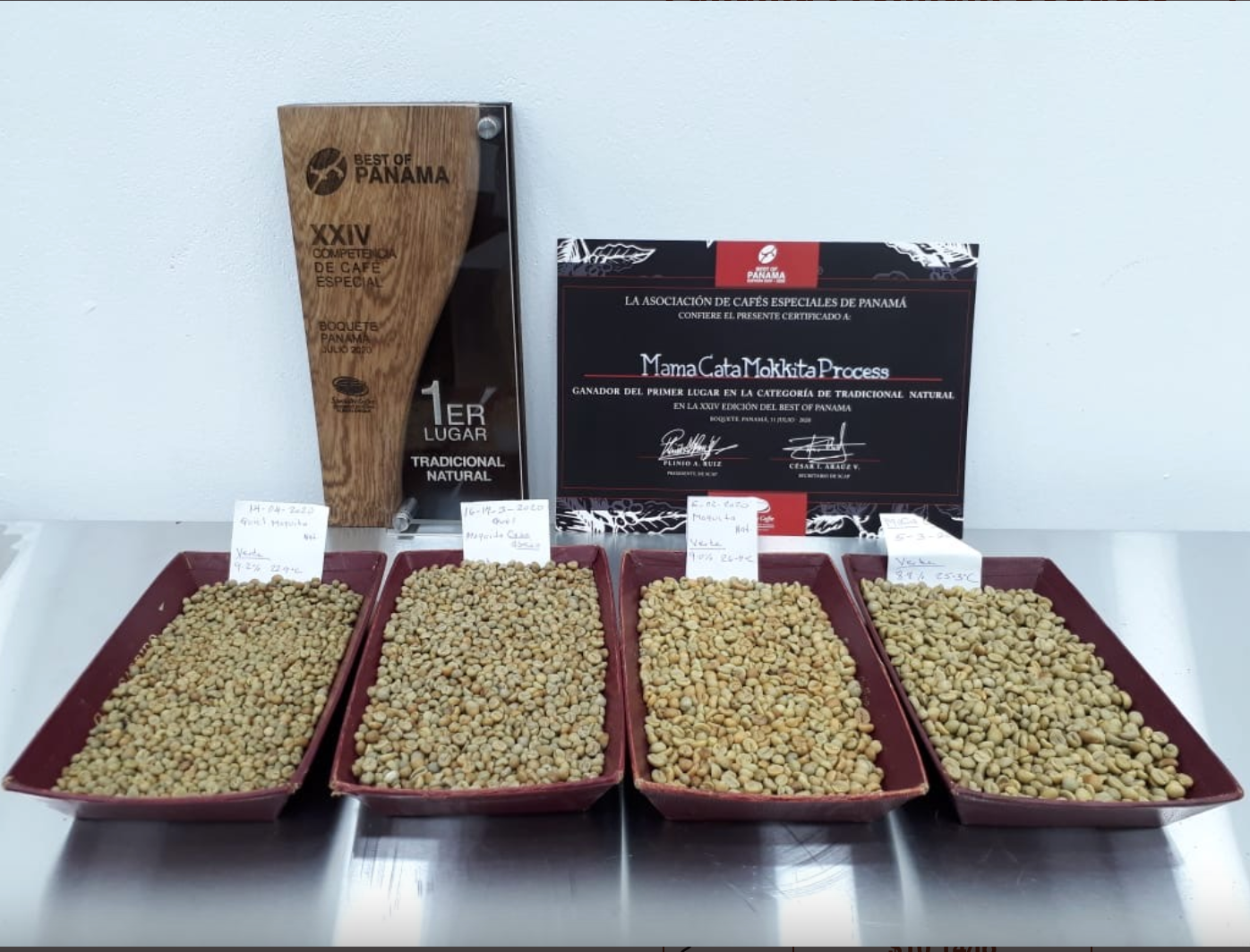 PANAMA MAMA CATA - CATURRA