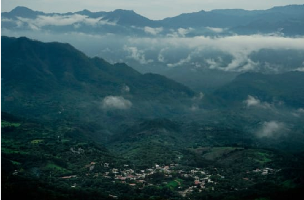 EL SALVADOR FINCA PENA REDONDA Pacamara