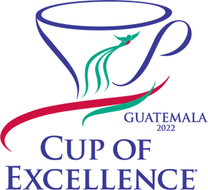 CUP OF EXCELLENCE #16 GUATEMALA 2023 BELLA VISTA GESHA DUE Sept!!!!!